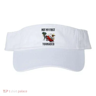 Visor