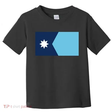 New Minnesota Flag Toddler T-Shirt