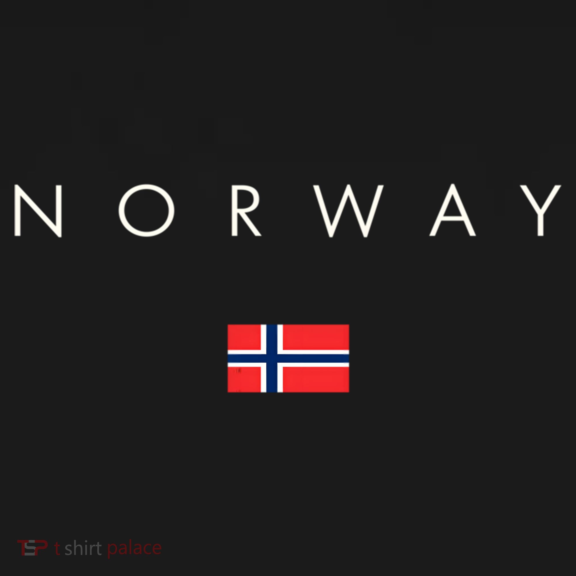 Norway Meaningful Gift Fashion International Women's Hoodie
