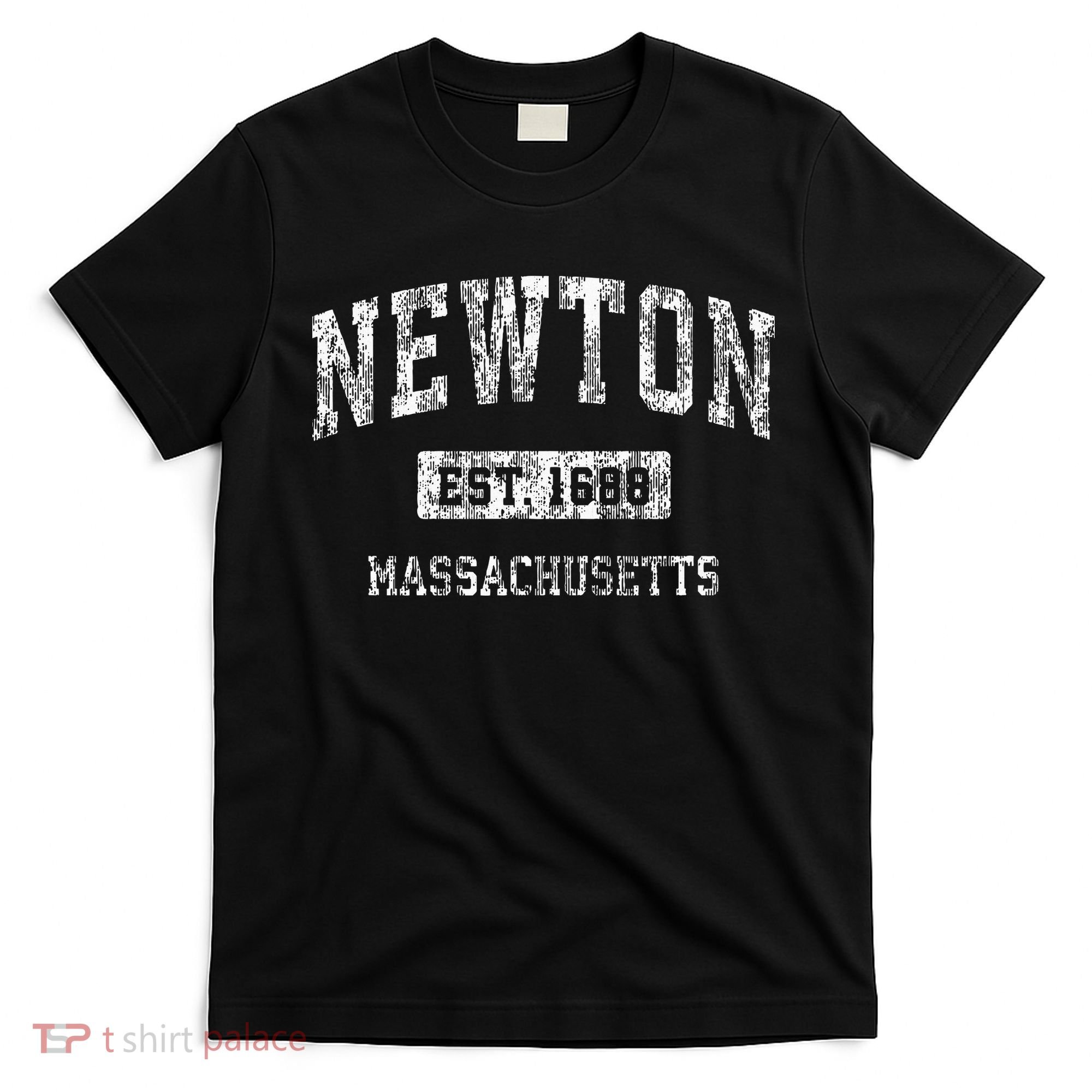 Newton Massachusetts Ma Vintage Sports Established T-Shirt