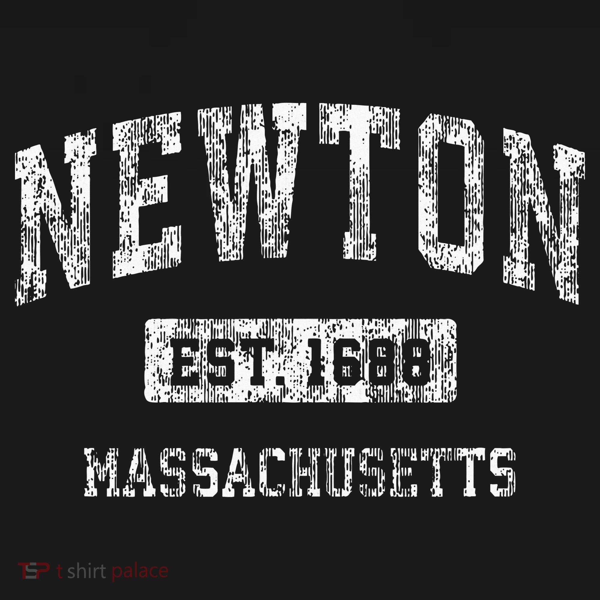 Newton Massachusetts Ma Vintage Sports Established T-Shirt