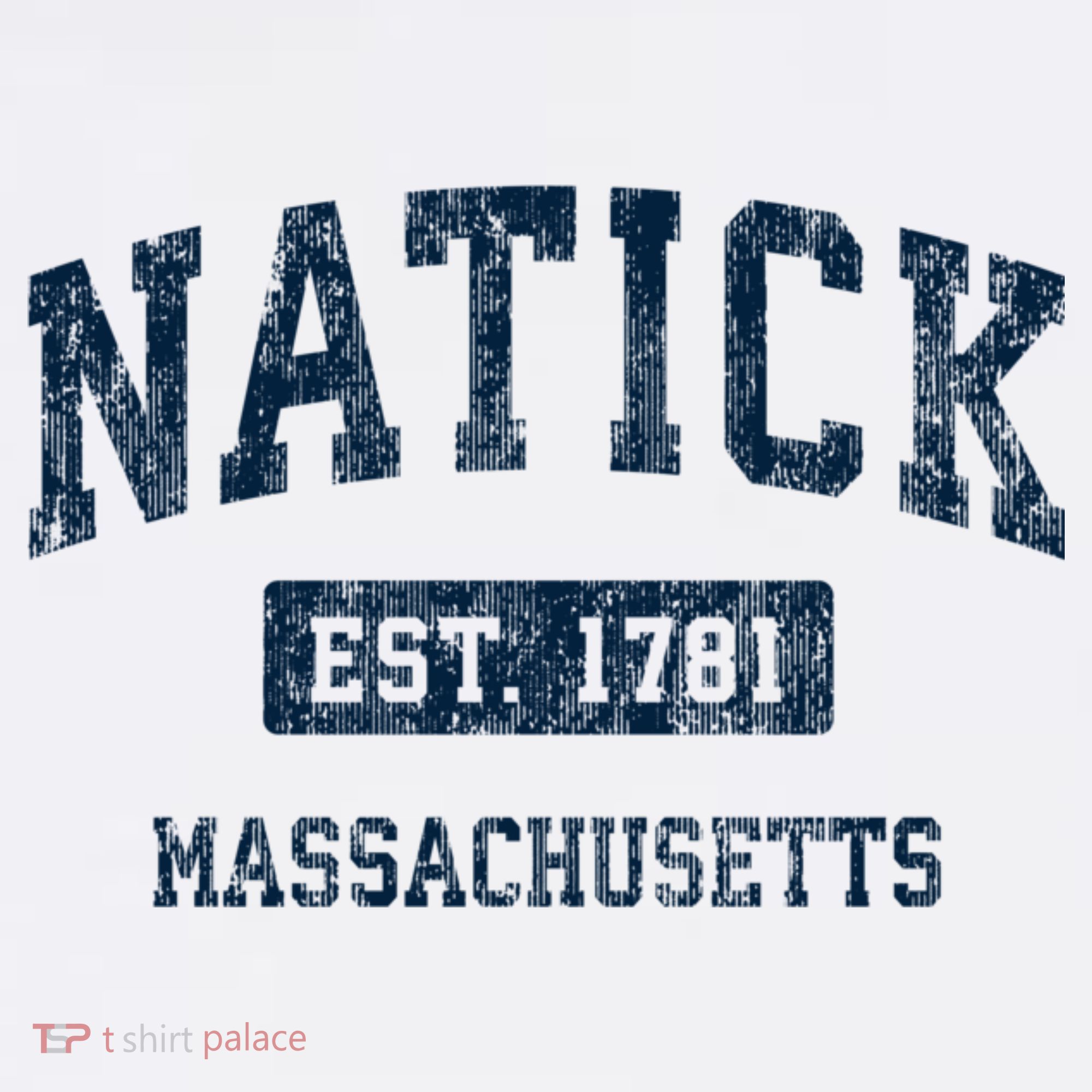 Natick Massachusetts Ma Vintage Sports T-Shirt