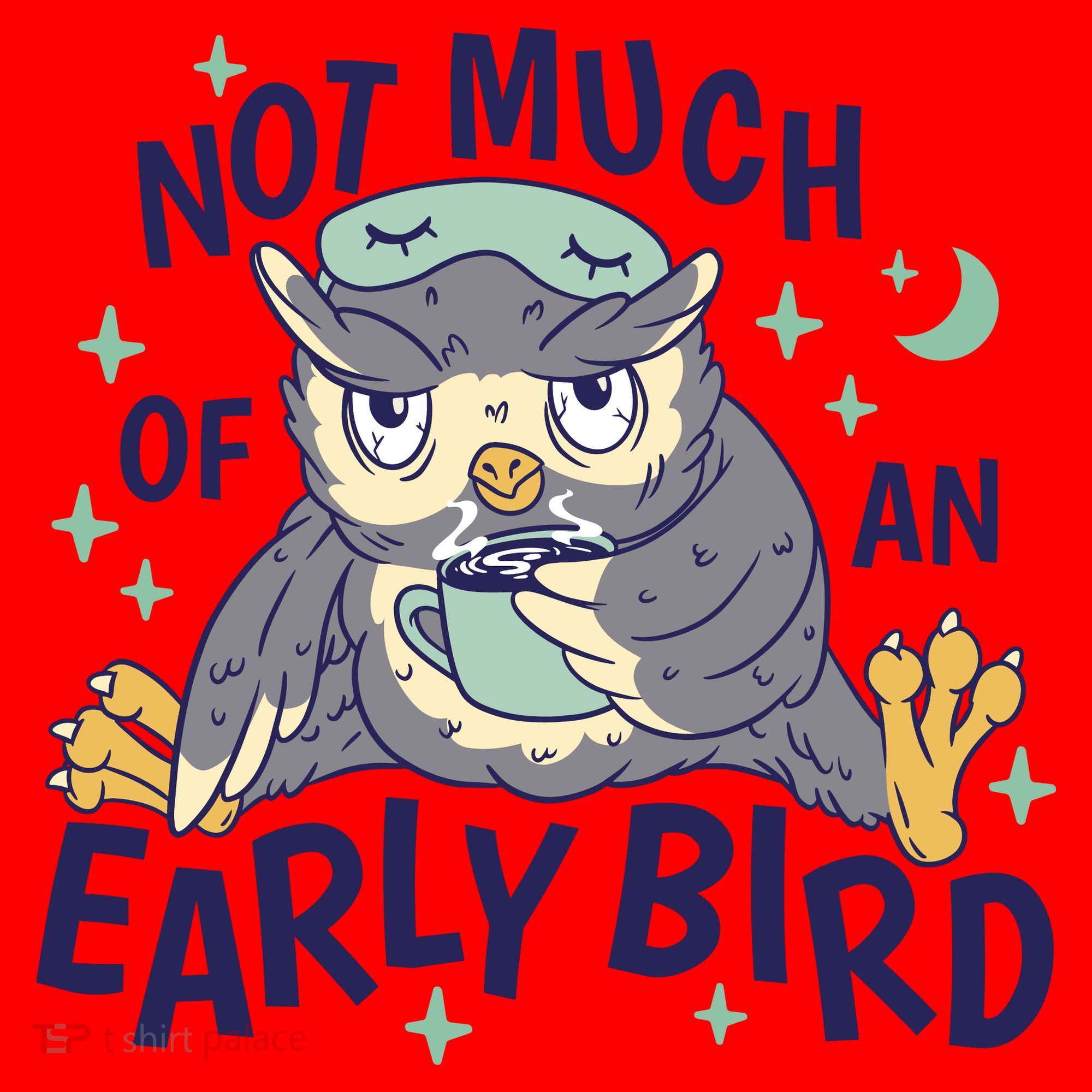 Not Much Of An Early Bird Owl Santa Hat