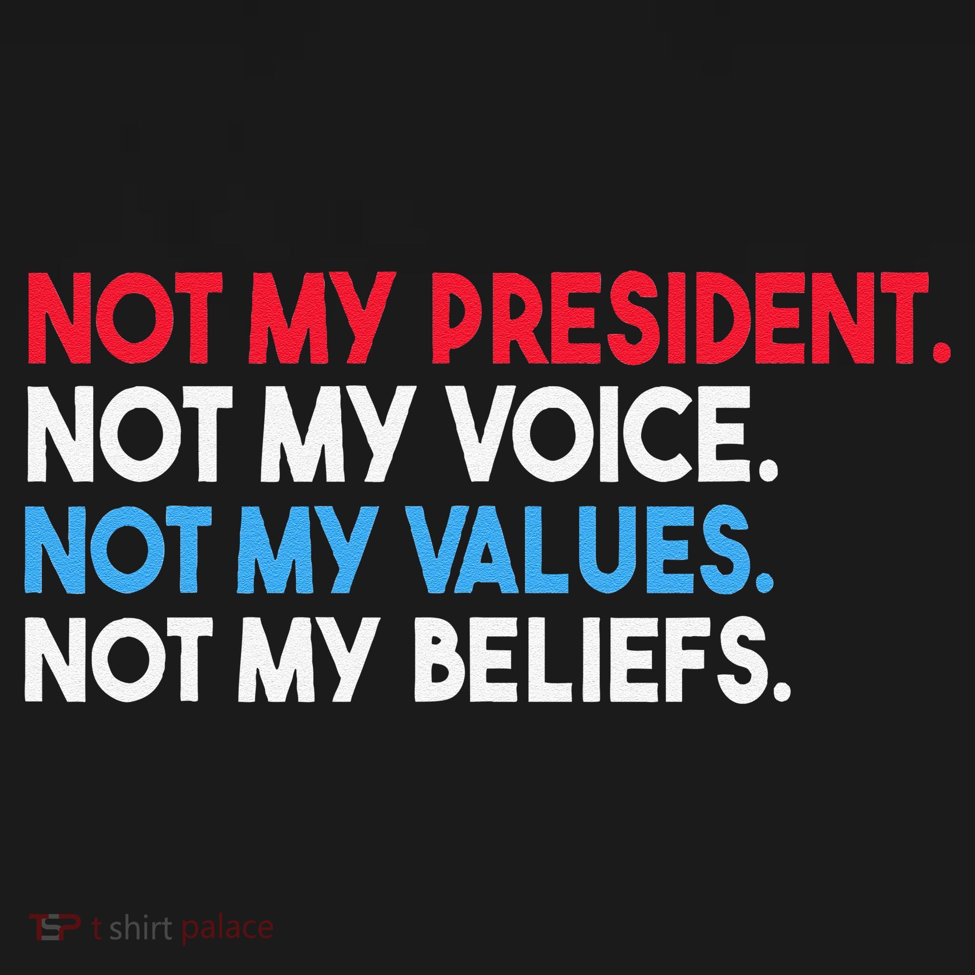 Not My President Not My Voice Not My Values Not My Beliefs Women's Hoodie