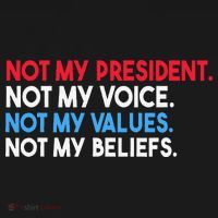 Not My President Not My Voice Not My Values Not My Beliefs Ornament thumb 1