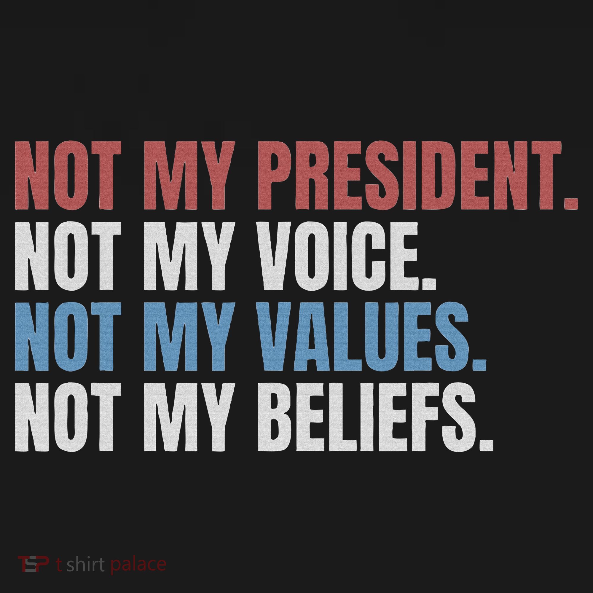 Not My President Not My Voice Not My Values Not My Beliefs Toddler Hoodie