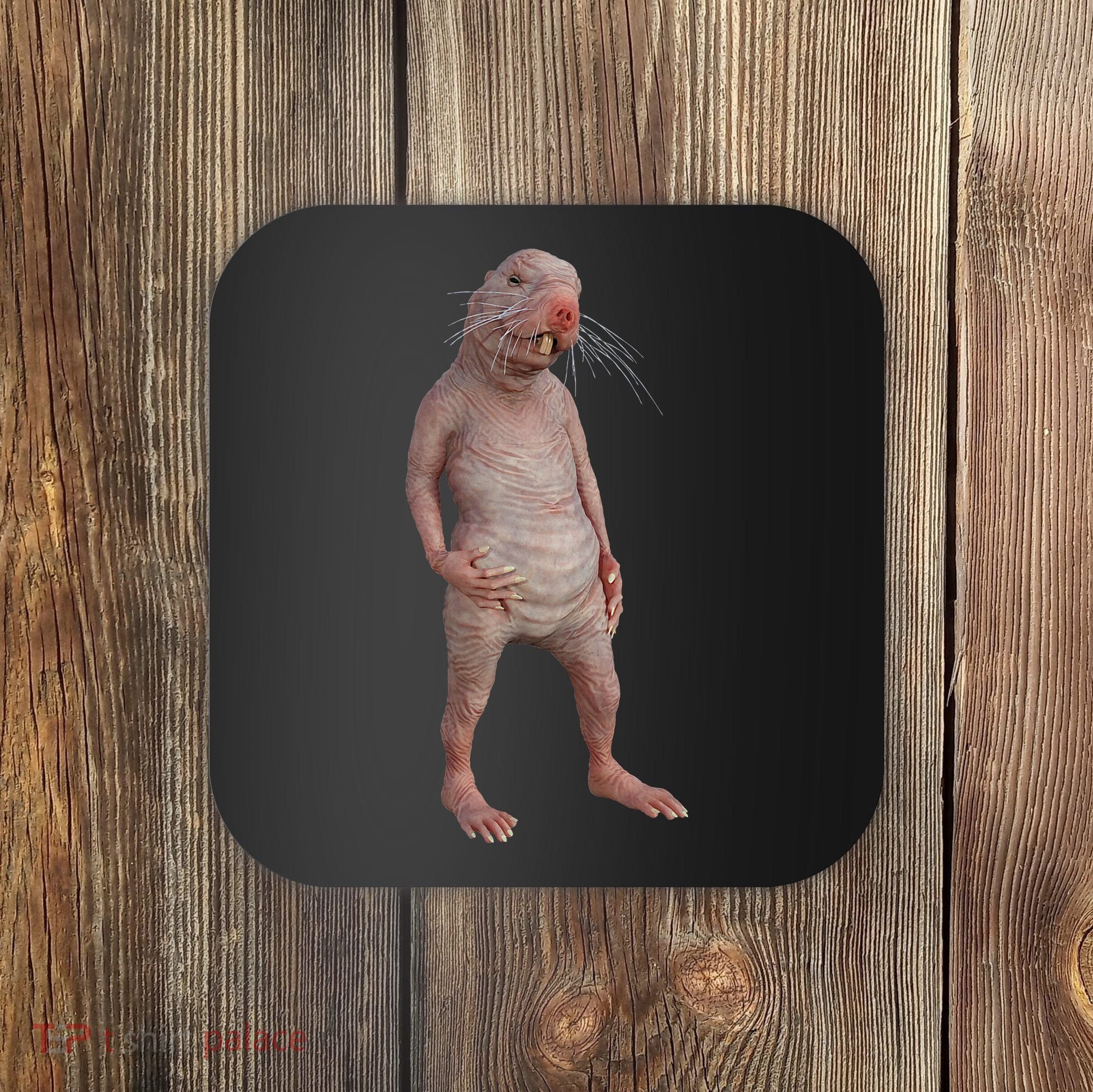 Naked Mole Rat Zookeeper Safari Animal Lover Mole Rat Coaster
