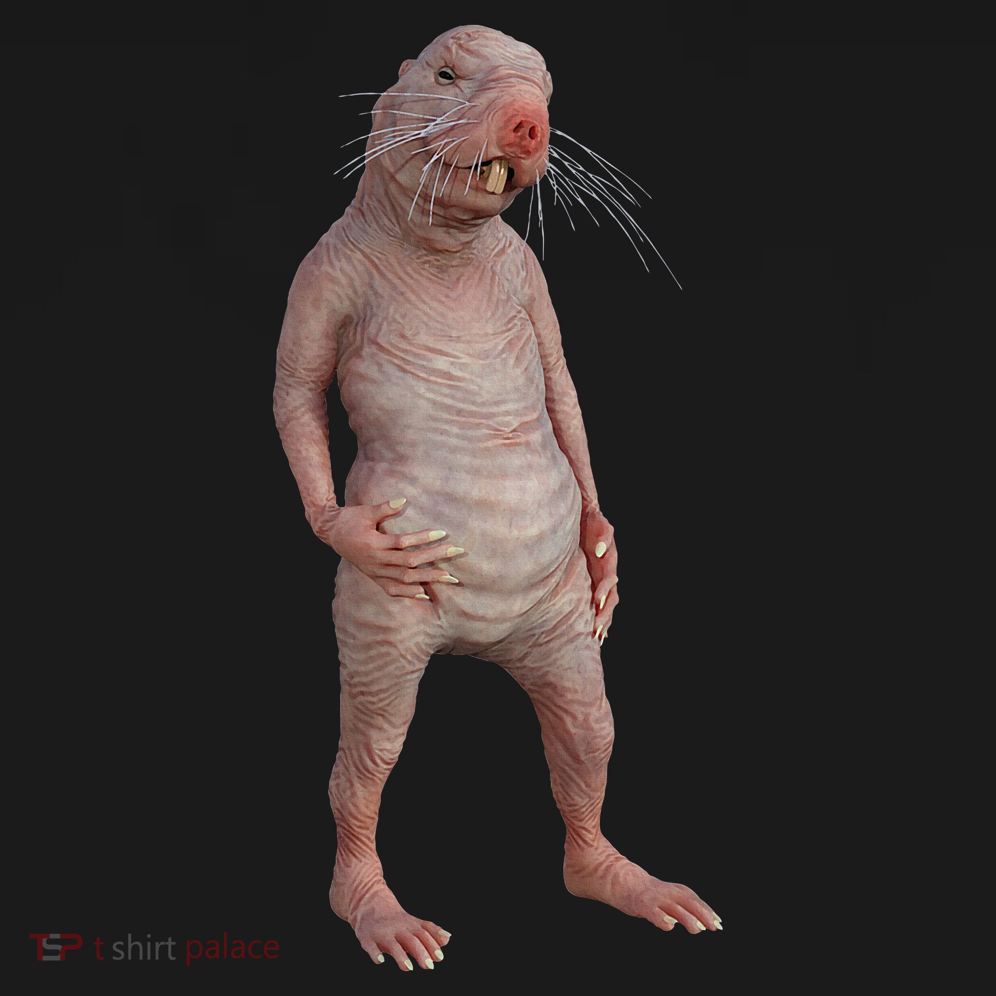 Naked Mole Rat Zookeeper Safari Animal Lover Mole Rat Women's Hoodie