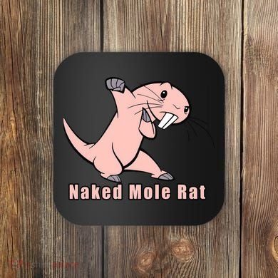Naked Mole Rat With Life Coaster