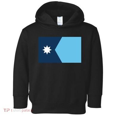 New Minnesota State Flag Toddler Hoodie