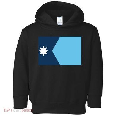 New Minnesota State Flag // 2024 Flag North Star Toddler Hoodie
