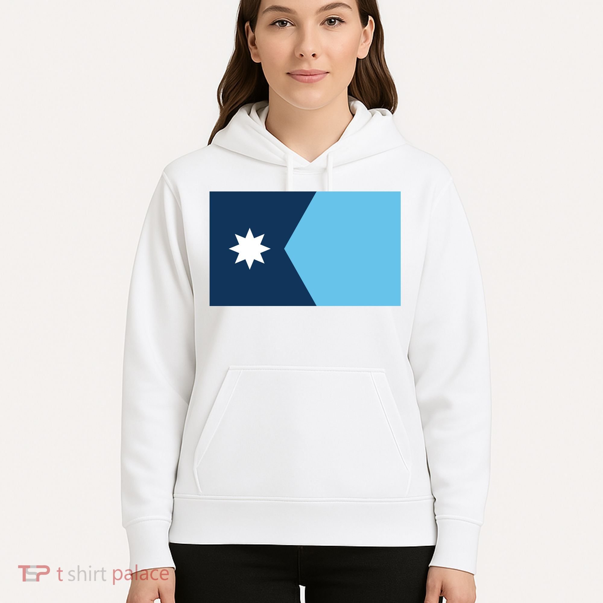 New Minnesota State Flag // 2024 Flag North Star Hoodie
