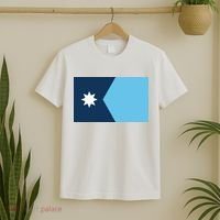 New Minnesota State Flag // 2024 Flag North Star T-Shirt thumb 2