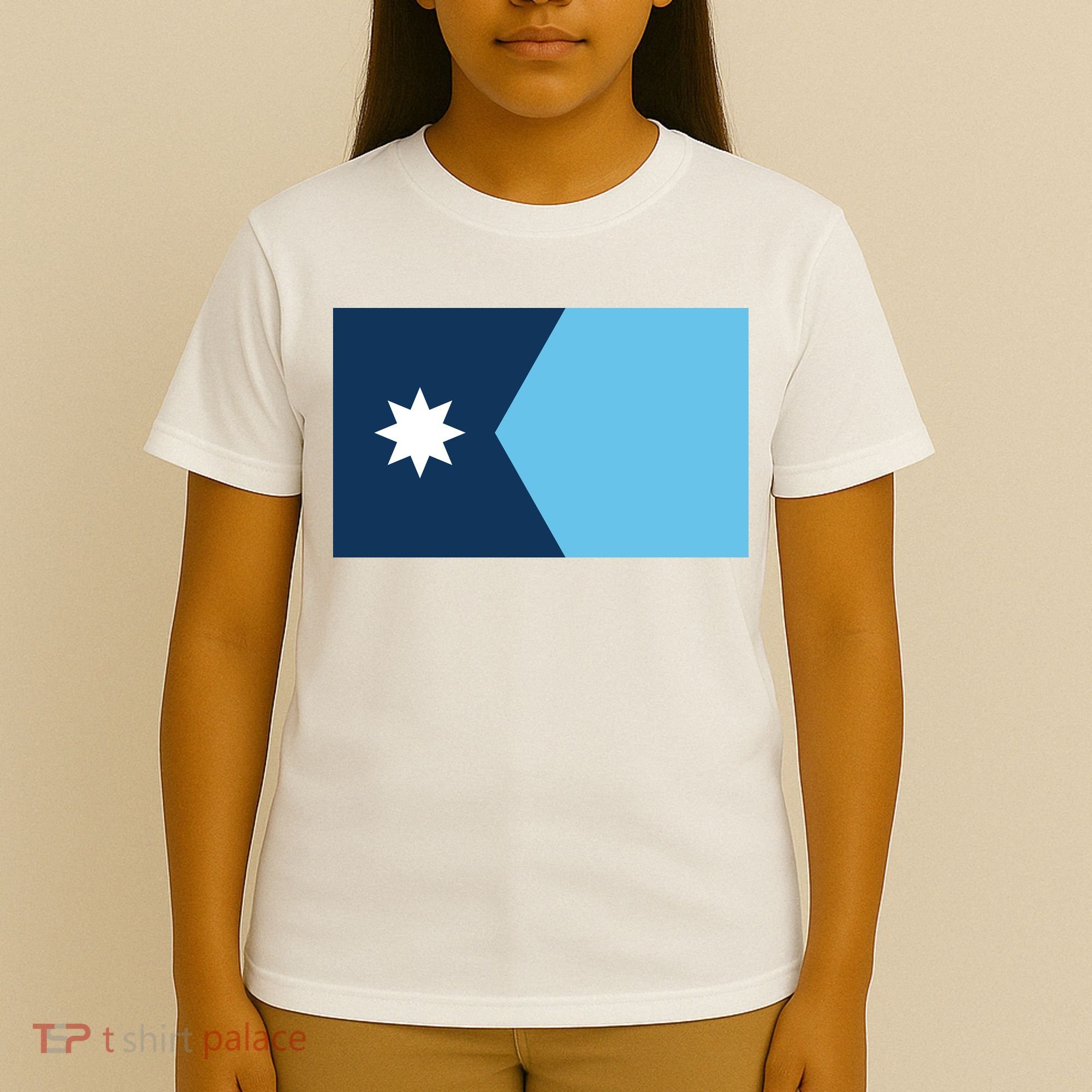 New Minnesota State Flag // 2024 Flag North Star T-Shirt
