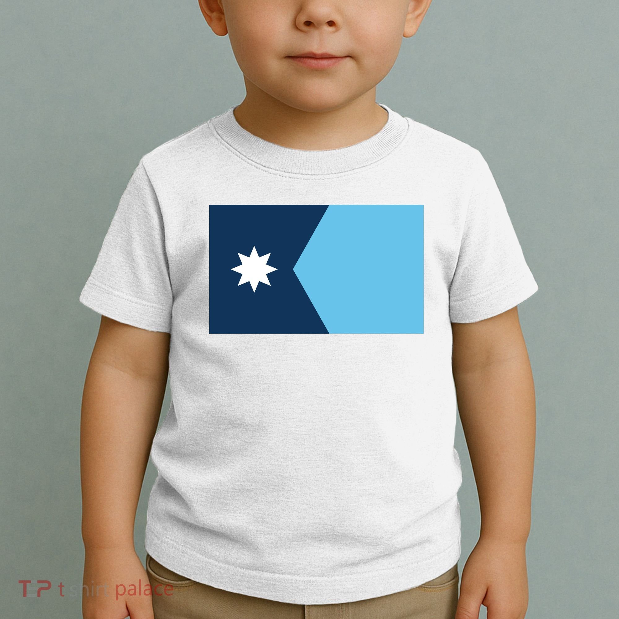 New Minnesota State Flag // 2024 Flag North Star Toddler T-Shirt