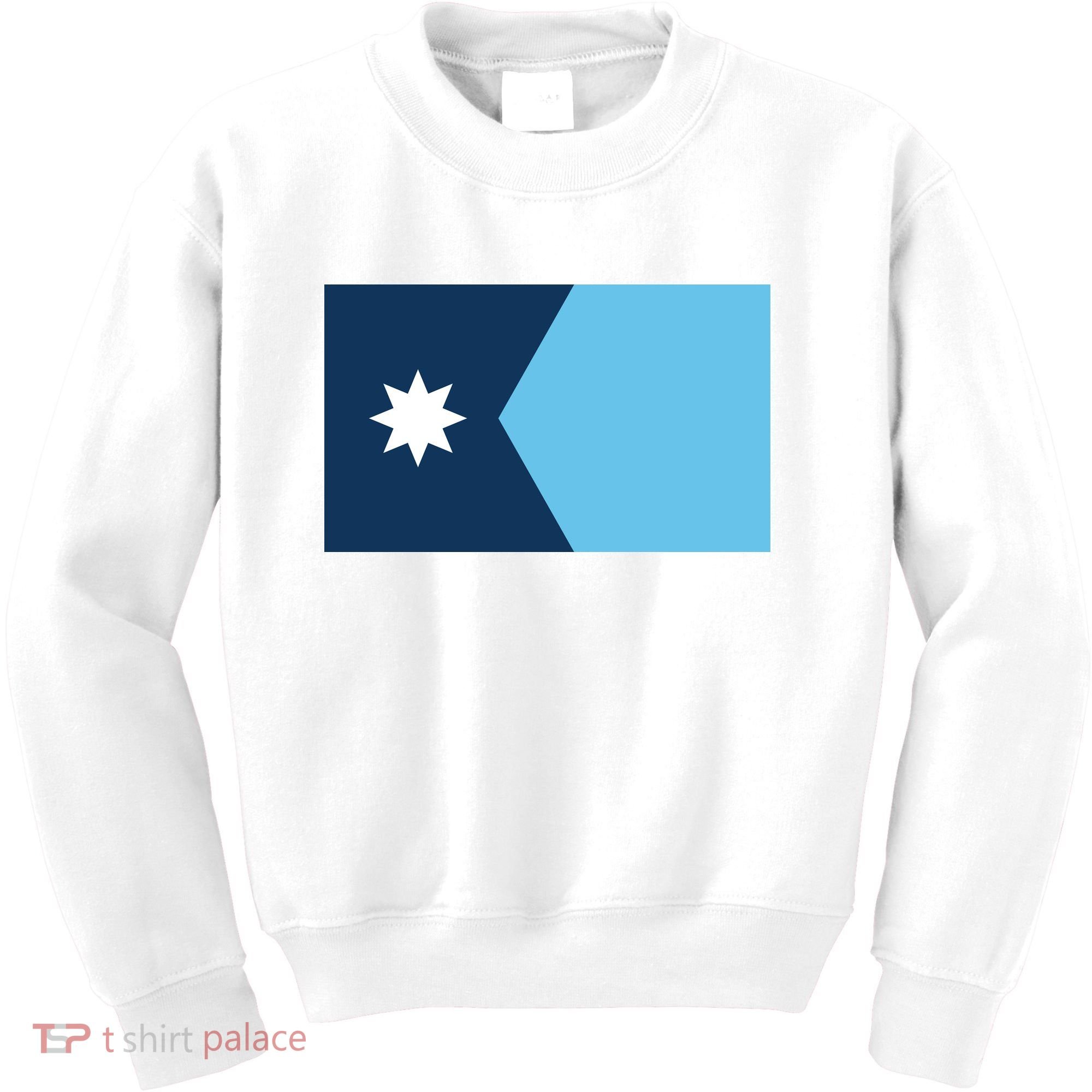 New Minnesota State Flag // 2024 Flag North Star Kids Sweatshirt