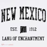 New Mexico Vintage Sports T-Shirt thumb 7