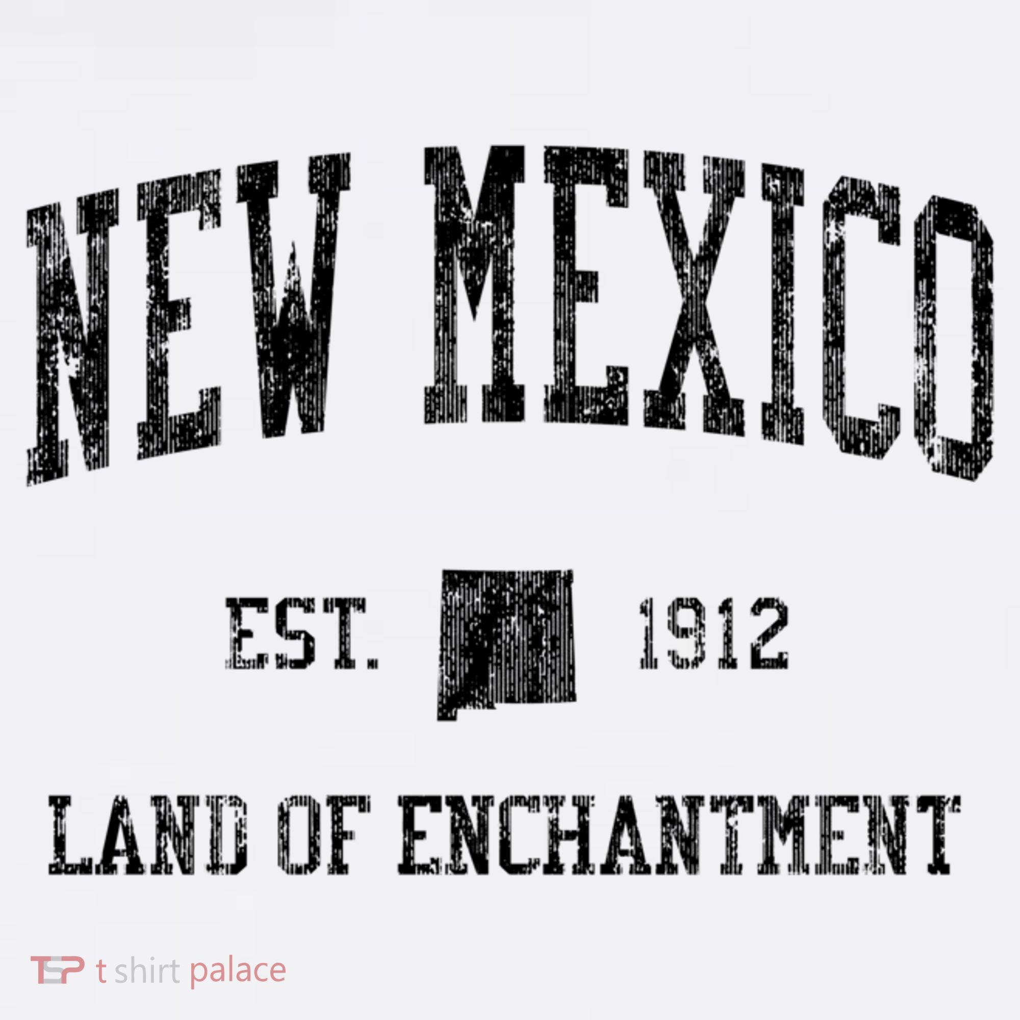 New Mexico Vintage Sports T-Shirt