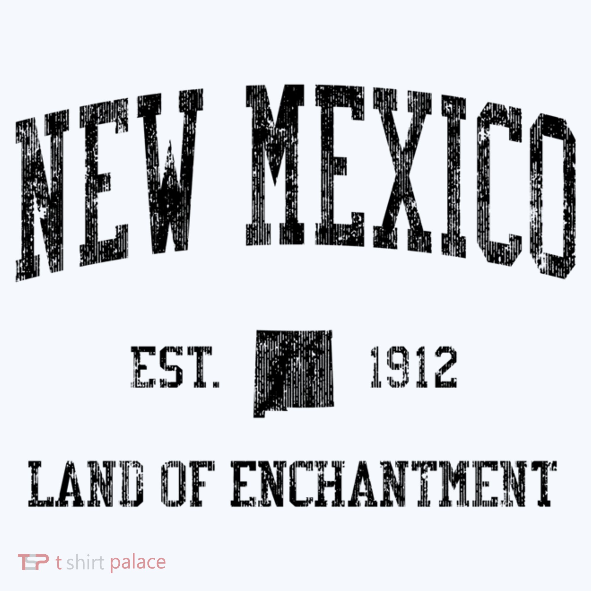 New Mexico Vintage Sports Women's Long Sleeve Shirt