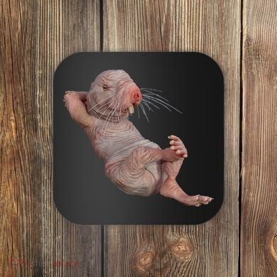 Naked Molerat Zookeeper Safari Animal Lover Mole Rat Coaster