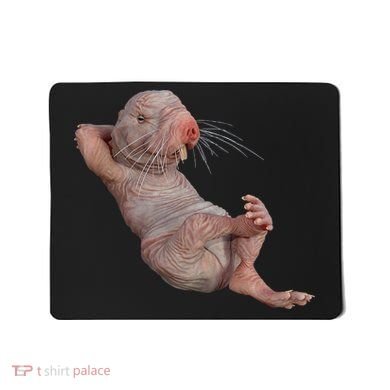 Naked Molerat Zookeeper Safari Animal Lover Mole Rat Mousepad