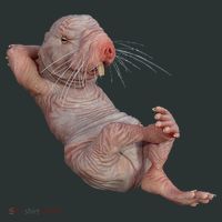 Naked Molerat Zookeeper Safari Animal Lover Mole Rat Infant Baby Jersey Bodysuit thumb 2