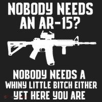 Nobody Needs An AR15? Funny Pro Gun Shirt Red Dot AR Gift Women's Sweatshirt thumb 2
