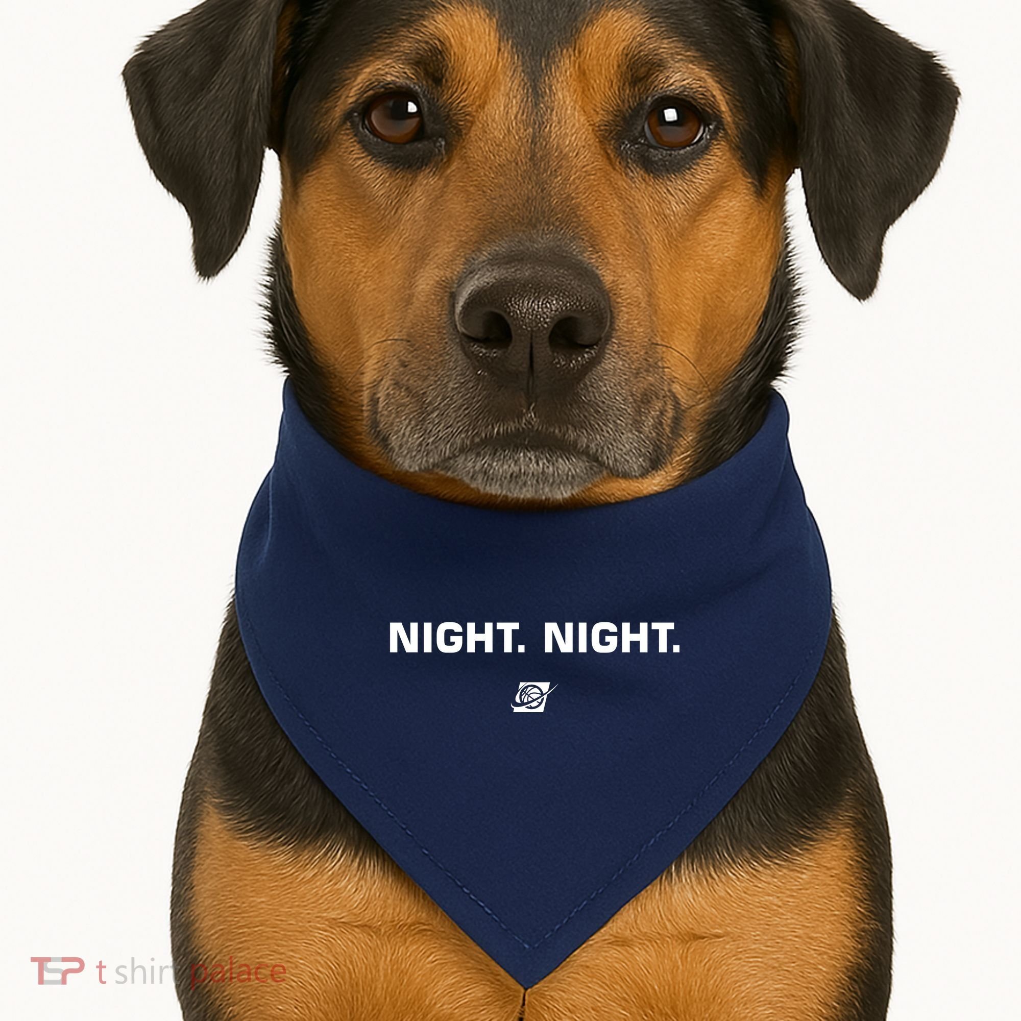 Night Night Basketball Champions USA-Made Doggie Bandana