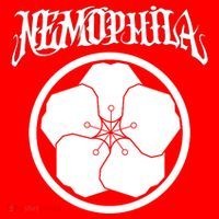 Nemophila Santa Hat thumb 1