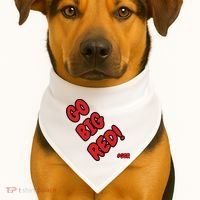 Nebraska USA-Made Doggie Bandana thumb 1