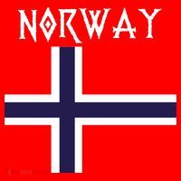 Norway Norwegian Flag Toddler Hoodie thumb 2