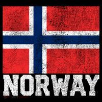 Norway Norwegian Flag National Pride Roots Country Nation Gift Coffee Mug thumb 5