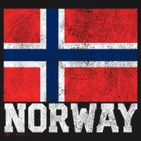 Norway Norwegian Flag National Pride Roots Country Nation Gift Ornament thumb 1