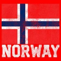 Norway Norwegian Flag National Pride Roots Country Nation Gift Santa Hat thumb 1