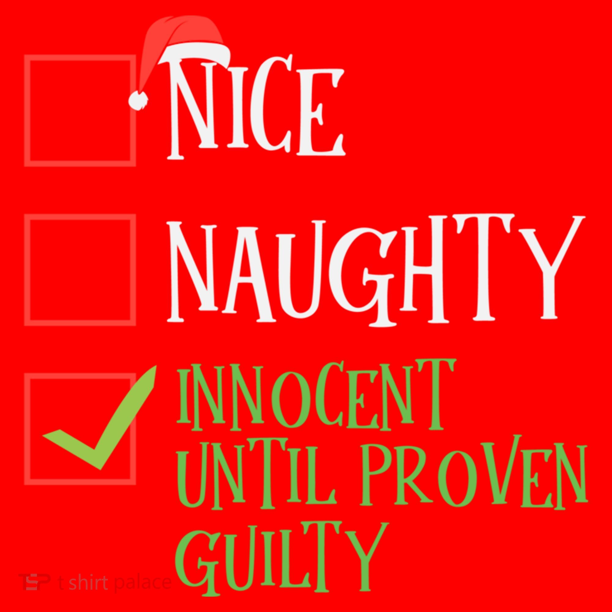 Nice Naughty Innocent Until Proven Guilty Christmas List Great Gift Santa Hat