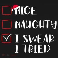 Naughty Nice I Swear I Tried Christmas Bad Behavior Funny Apron thumb 3