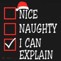 Nice Naughty I Can Explain Christmas List Xmas Santa Claus Ornament thumb 1