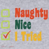 Naughty Nice I Tried Funny Christmas Women's Sweatshirt thumb 2