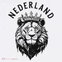 Nederland Netherlands Lion Dutch Holland Vintage Orange T-Shirt thumb 7