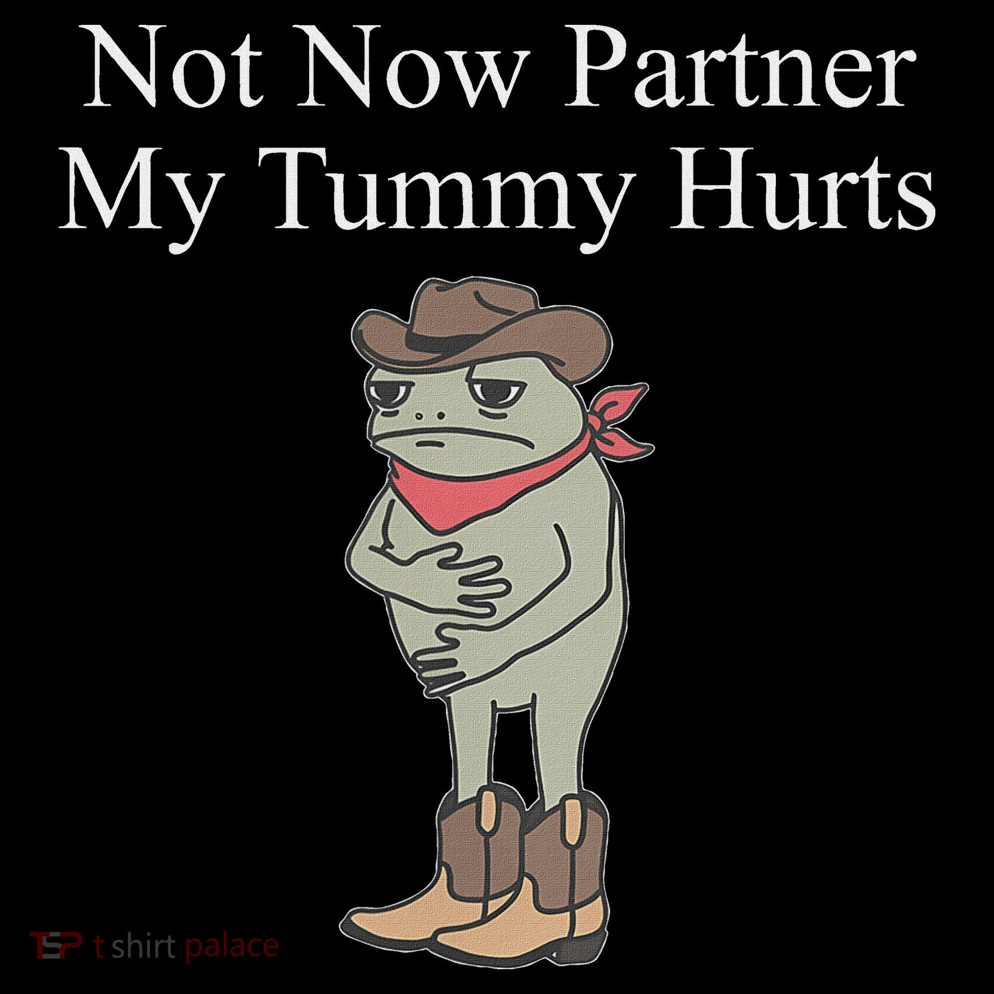 Not Now Partner My Tummy Hurts Women's Hoodie