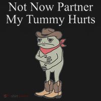Not Now Partner My Tummy Hurts Ornament thumb 1