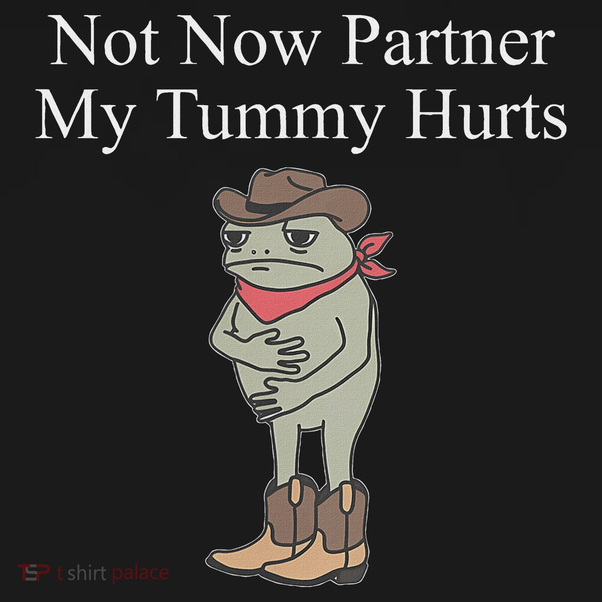 Not Now Partner My Tummy Hurts Ornament