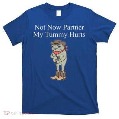 Not Now Partner My Tummy Hurts T-Shirt