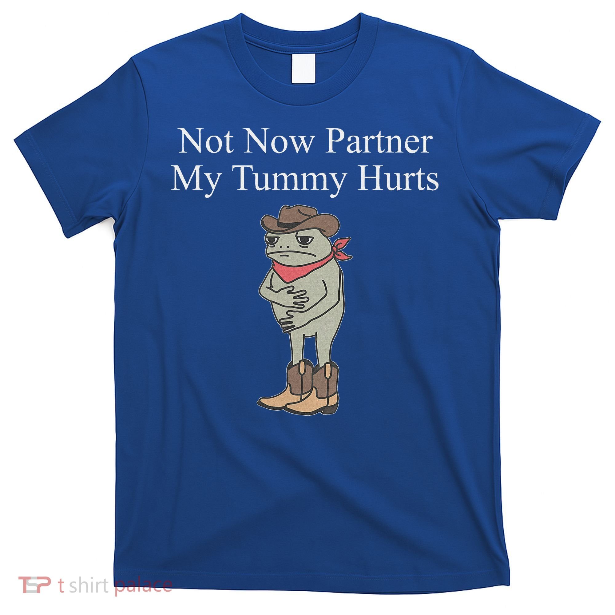 Not Now Partner My Tummy Hurts T-Shirt