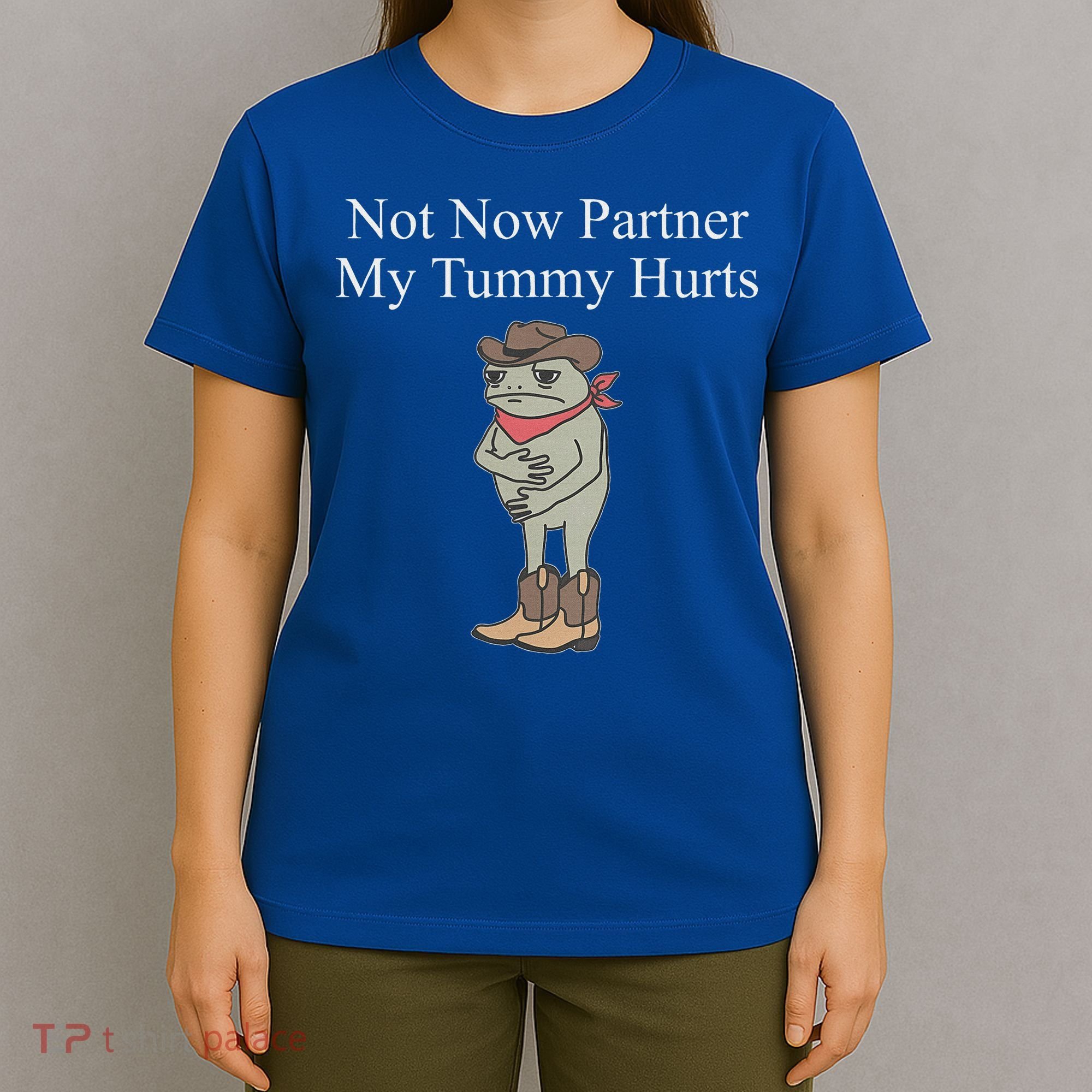 Not Now Partner My Tummy Hurts T-Shirt