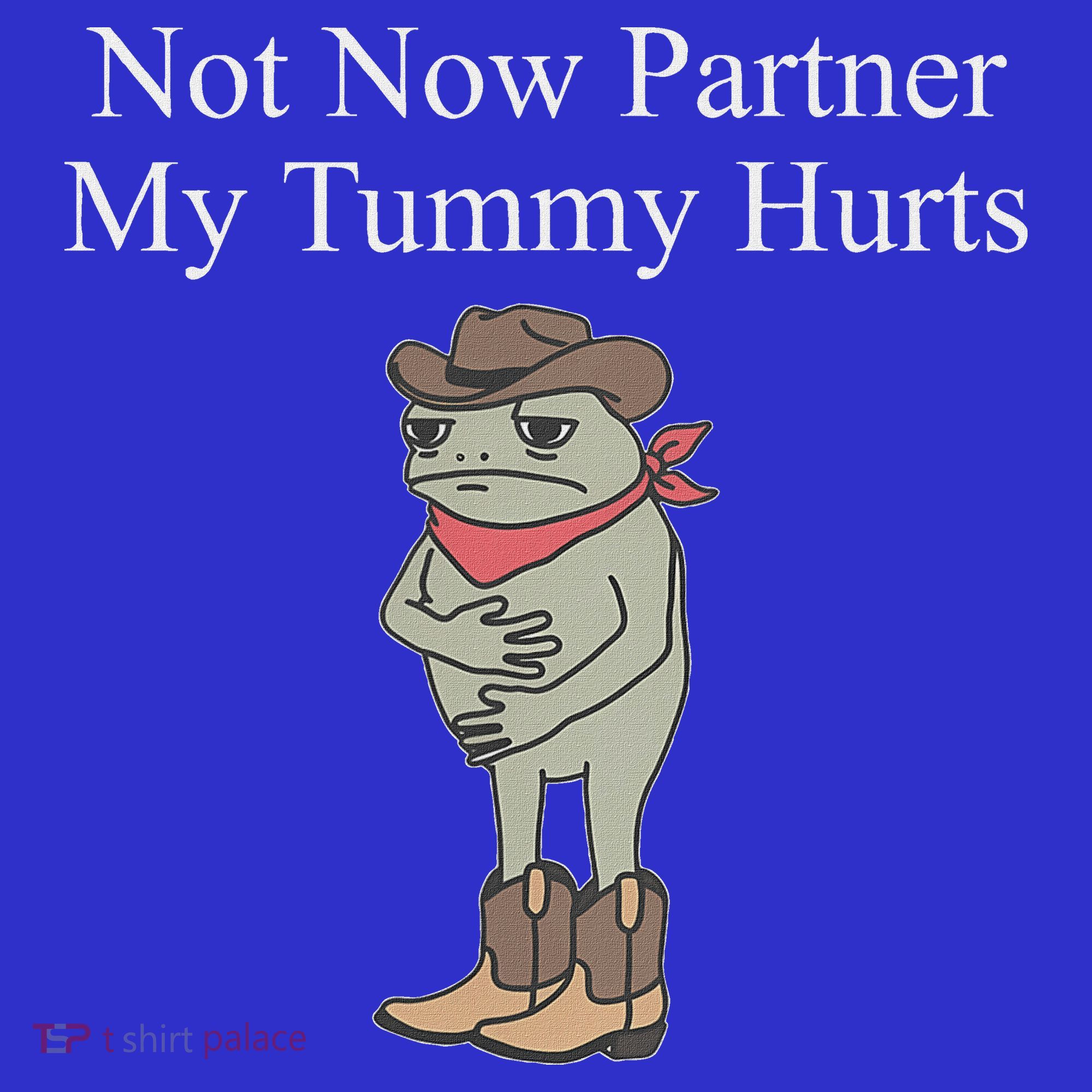 Not Now Partner My Tummy Hurts Women's Tank Top