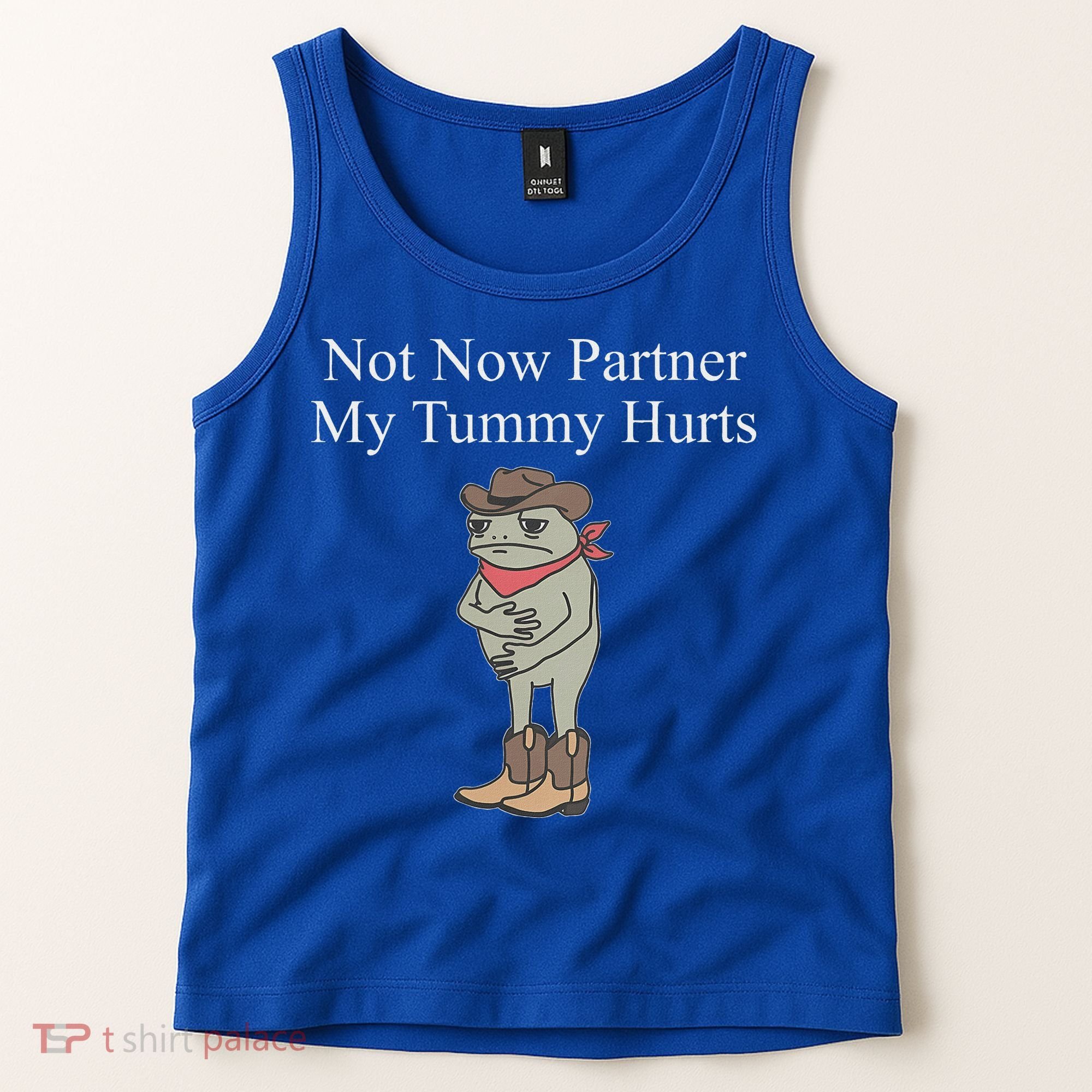 Not Now Partner My Tummy Hurts Tank Top