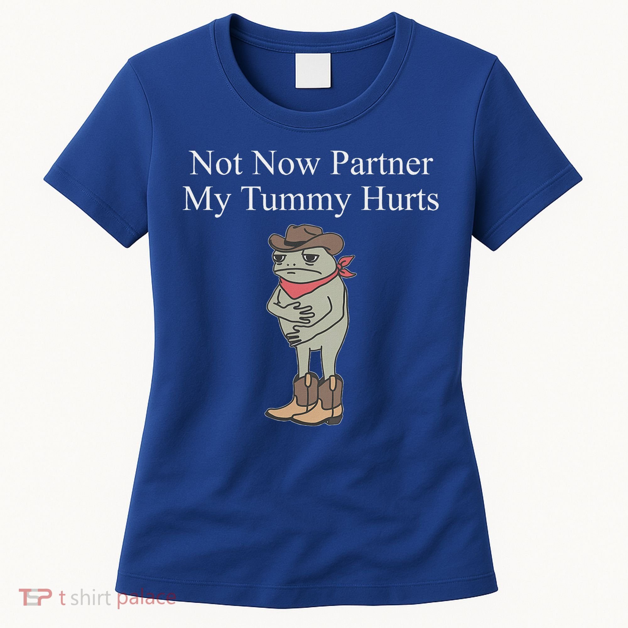 Not Now Partner My Tummy Hurts Women's T-Shirt