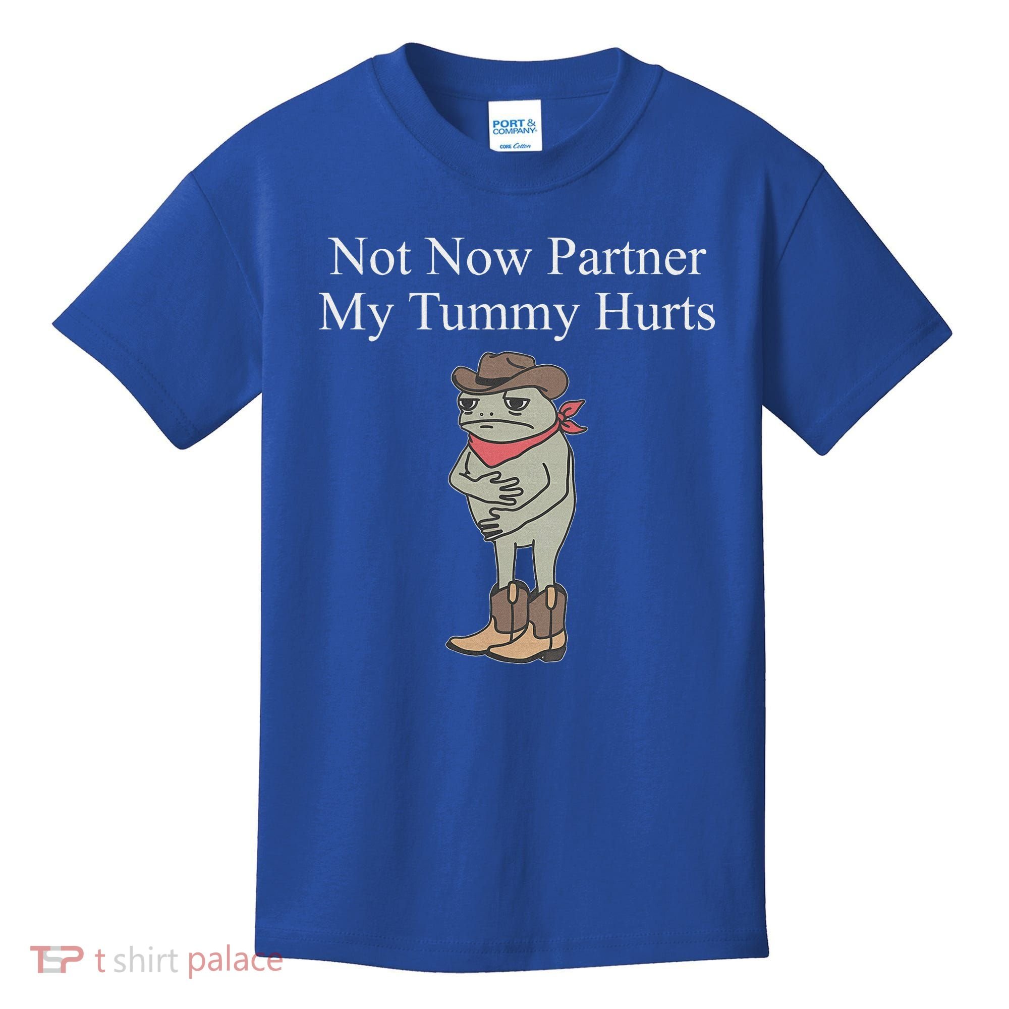 Not Now Partner My Tummy Hurts Kids T-Shirt