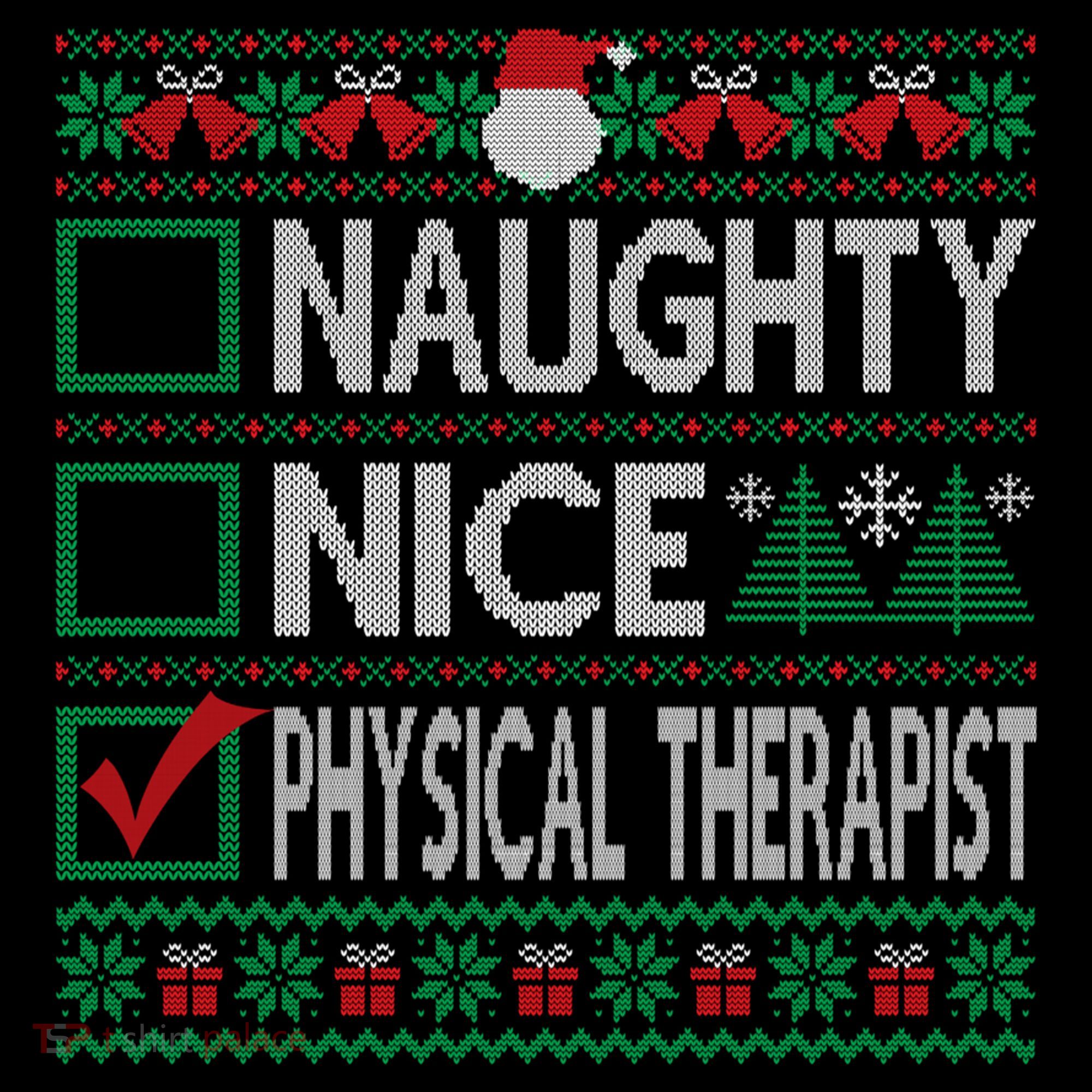 Naughty Nice Physical Therapist Christmas List Ugly Sweater Funny Gift Women's Hoodie